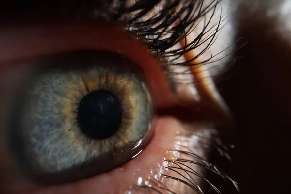 Extreme closeup macro Image of human eye. Laser vision correction concept