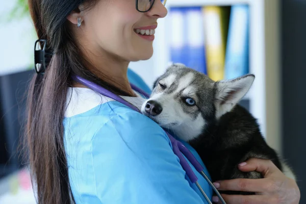 Veterinário Está Segurando Pequeno Cão Husky Com Problema Olho Erosão — Fotografia de Stock