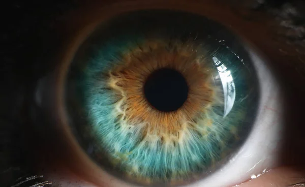 Primo Piano Dell Occhio Umano Verde Tecnica Bassa Luminosità Iperopia — Foto Stock