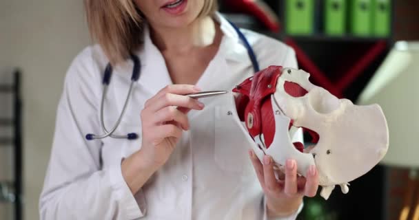 Γυναίκα Γιατρός Δείχνει Μοντέλο Πυέλου Ένα Κοντινό Πλάνο Μύες Των — Αρχείο Βίντεο