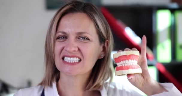 Doktorka Ukazuje Anatomický Model Čelisti Detailní Záběr Zubní Protézy Klinika — Stock video
