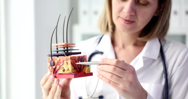 Donna Medico Mostra Modello Follicolo Pilifero Primo Piano Formazione Dermatologica — Video Stock