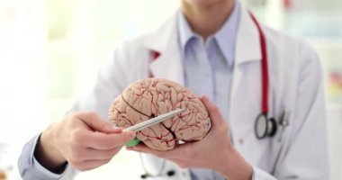 Doktor nörolog, beyin kıvrımlarını insan organının anatomik yakın çekim 4k film yavaş çekim modelinde gösteriyor. Nörolojik hastalıkların teşhisi ve tedavisi