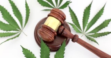Yargıç Tahta Tokmak marihuana üzerinde yatarken 4K 'lık yakın çekim filmi bırakır. Uyuşturucu bulundurma ve satışından cezai yükümlülük