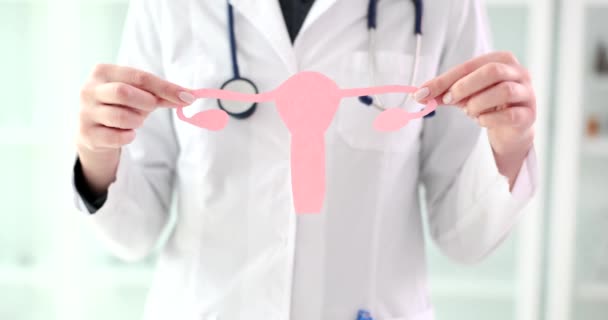 Médico Sosteniendo Las Manos Modelo Anatómico Útero Con Ovarios Primer — Vídeos de Stock