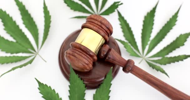 Soudce Dřevěný Kladívko Ležící Marihuaně Listy Detailní Film Trestní Odpovědnost — Stock video
