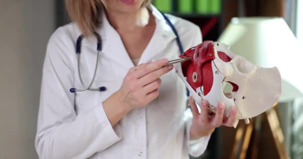 Lékař Lékařské Uniformě Vyšetřuje Ženskou Zdravou Pánev Reprodukčními Orgány Modelu — Stock video