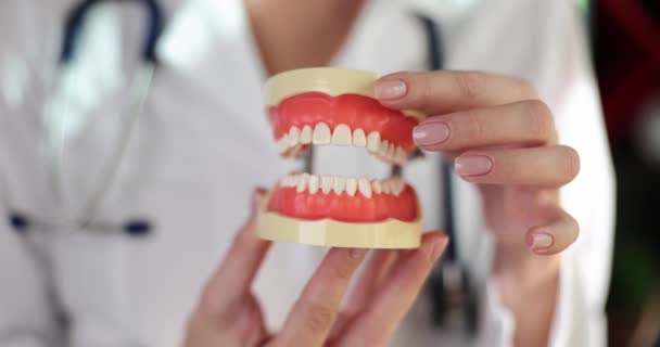 Dentista Feminino Uniforme Abre Fecha Modelo Maxilas Dentais Com Mãos — Vídeo de Stock