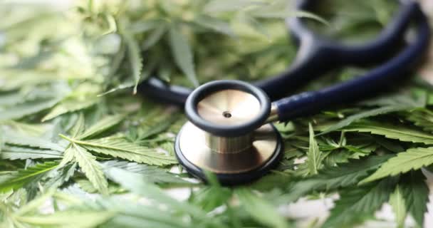 Stetoskop Terletak Pada Tumpukan Daun Cannabis Hijau Tersebar Atas Meja — Stok Video