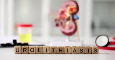 Ahşap küplerde urolithiasis kelimesi insan böbreğinin yakın plan anatomik modelinin arka planında. İdrar sistemi konsepti hastalıkları