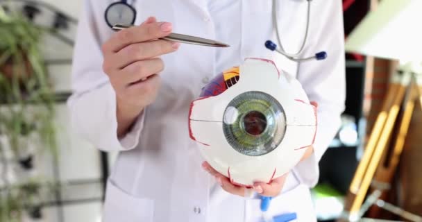Lekarz Wyjaśnia Strukturę Oka Wskazując Szczegóły Pomocą Pióra Kobieta Fartuchu — Wideo stockowe