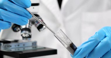 Laboratuvar çalışanı demir çubuklu gübre hapını mikroskop yakınındaki siyah toprakla birlikte boruya koyar. Lastik eldivenli kadın, bilimsel araştırmalar için yavaş çekim örnekleri hazırlıyor.