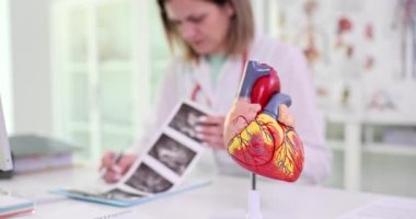 Hastanın ultrason resmini inceleyen doktorlara karşı kalbin yapay modeli masada duruyor. İnsan organının detaylı yapısı yavaş çekimde