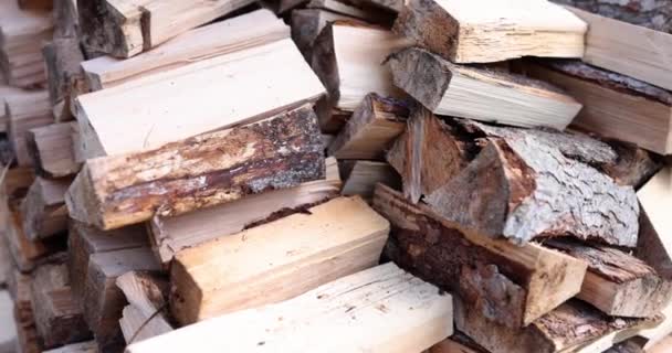 Chopped Firewood Stack Prepared Village House Yard Natural Timber Materials — Stock Video