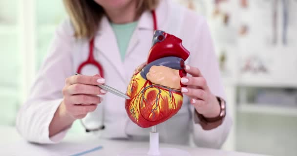 Γιατρός Στολή Εξετάζει Τεχνητό Μοντέλο Της Ανθρώπινης Καρδιάς Γυναίκα Κάθεται — Αρχείο Βίντεο