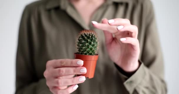 Femme Touche Cactus Dopé Avec Douleur Index Plante Décorative Verte — Video