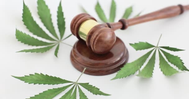 Gavel法官躺在木制音块上 周围是新鲜的大麻叶 法院对非法吸食大麻药物的判决 — 图库视频影像