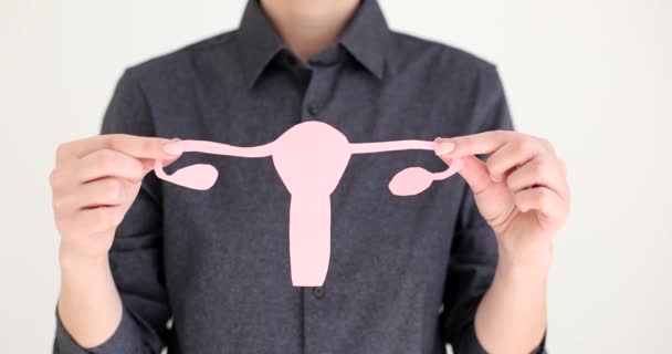 Mujer Sostiene Modelo Papel Rosa Forma Útero Con Ovarios Como — Vídeos de Stock
