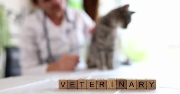 Mot Vétérinaire Fait Cubes Bois Sur Table Contre Médecin Avec — Video