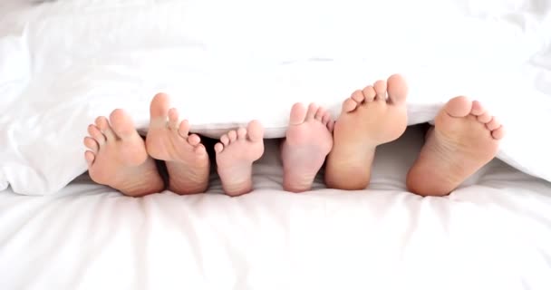 Jambes Père Mère Enfant Trouvent Dans Lit Sous Drap Blanc — Video