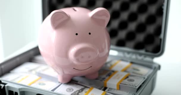 Pinkfarbenes Sparschwein Stapelt Koffer Dollarnoten Einlagen Und Konzept Der Finanziellen — Stockvideo
