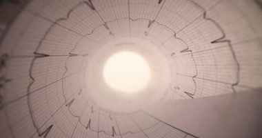 Elektrokardiyograma kağıt formunda ve parlak ışıkta yakın çekim. Kalp ve damar hastalıkları ve ölüm oranı