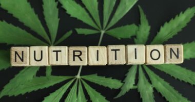 Yeşil marihuana üzerindeki ahşap küplerdeki kelime besin değeri 4K filmi yavaşlatıyor. Kenevir konseptine dayalı beslenme takviyeleri