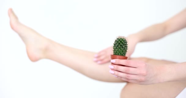 Mujer Sosteniendo Cactus Mano Contra Fondo Suave Piel Delicada Las — Vídeo de stock