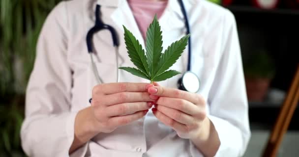 Médico Neurologista Segurando Folha Planta Cannabis Sativa Despenalização Legalização Cannabis — Vídeo de Stock