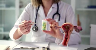 Gynecological examination of uterus and infertility treatment. Diseases of reproductive system and drugs in tablets