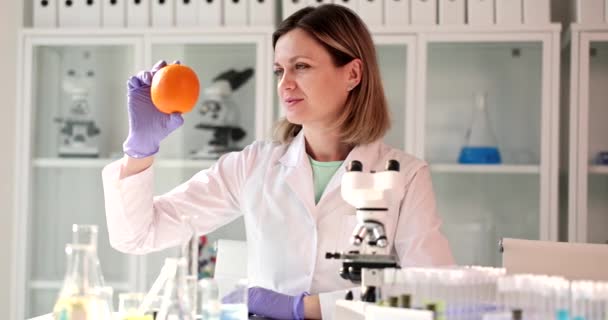 Quality Control Orange Fruit Samples Laboratory Microscopic Analysis Impact Genetically — Stock Video