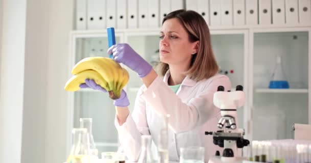 实验室的科学家进行香蕉毒素测试 水果认证和检查及消费者保护 — 图库视频影像