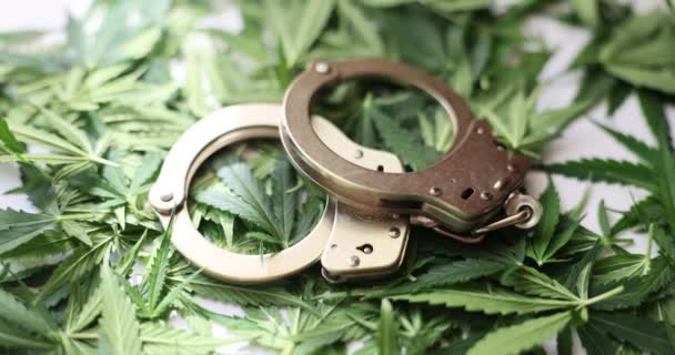 Menottes Couchées Sur Des Feuilles Vertes Marijuana Arrestation Corruption Vente — Video