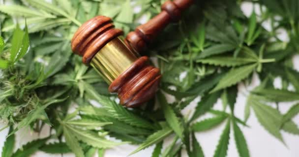 司法槌和医用大麻叶特写 毒品合法化和判决 — 图库视频影像