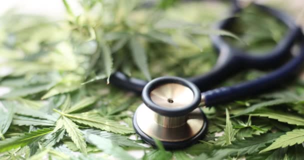 Alternatif Tıp Için Marihuana Yaprağı Steteskop Tıbbi Esrarın Etkileri Faydaları — Stok video