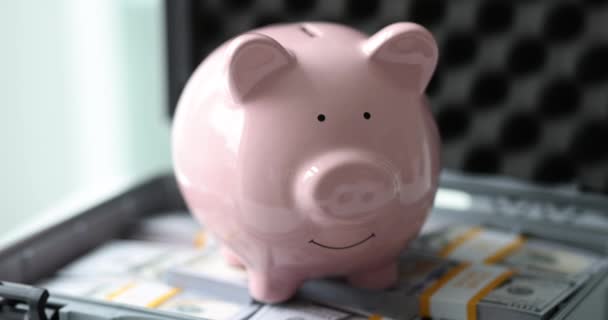 小猪银行在一捆钞票上以防万一 资金储蓄和保护安全 — 图库视频影像