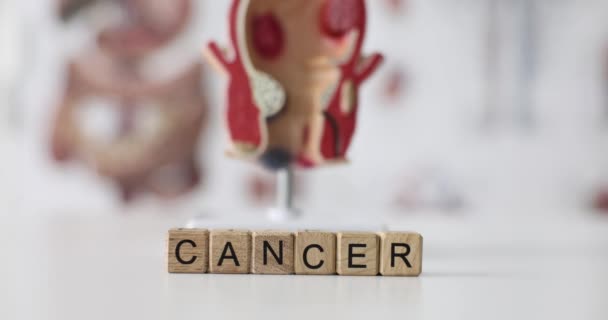 世界癌症是由木制立方体与人类直肠模型和病理学 直肠部分疾病 肿瘤学和保健概念 — 图库视频影像