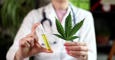 Laboratuvar önlüklü doktor elinde sarı sıvı ve marihuana yaprağıyla test tüpü tutuyor. Tedavi amaçlı olarak ilaçlarda esrar bitkisi kullanımı