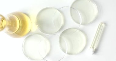 Petri kabının yanında ayçiçeği yağı şişesi ve beyaz masanın üzerinde test tüpleri. Bilimsel araştırmalar için profesyonel laboratuvar camları.