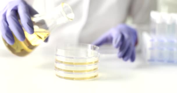 Scienziato Versa Olio Girasole Dal Matraccio Vetro Nel Piatto Petri — Video Stock