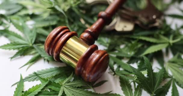 Sędzia Młotek Leży Zielonych Świeżych Liściach Marihuany Rozrzuconych Białym Stole — Wideo stockowe