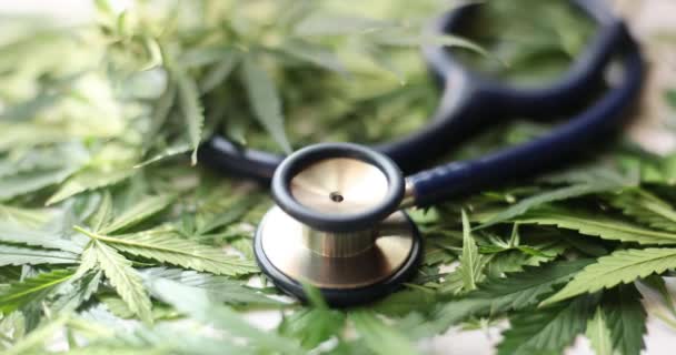 聴診器は 白いテーブルに散在する緑の大麻の葉のヒープ上にあります プロの医療機器や薬 医療におけるマリファナの使用 — ストック動画