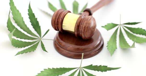 Gavel Juiz Encontra Bloco Som Madeira Perto Folhas Cannabis Espalhadas — Vídeo de Stock