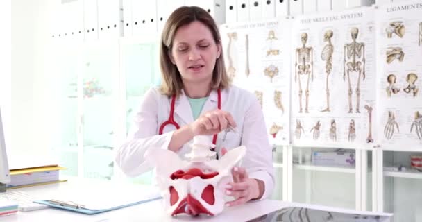 研究室のコートの女性医学は骨盤骨の構造を説明します 女性は教育セミナーで生殖器と骨盤モデルにペンを指す — ストック動画