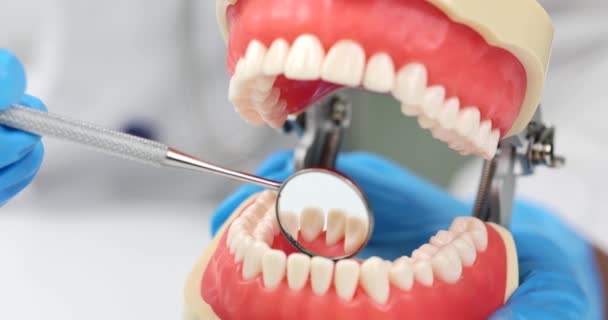 Tandläkare Tittar Baksidan Tänderna Med Spegelbild Specialist Handskar Undersöker Realistisk — Stockvideo