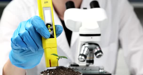 研究室の労働者は 大麻植物に含まれる土壌のPhを測定するためにメーターを使用しています 薬用目的のためのマリファナの成長スローモーション — ストック動画