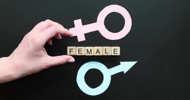 Símbolo Género Hombre Mujer Texto Sobre Cubos Igualdad Género Cambio — Vídeos de Stock