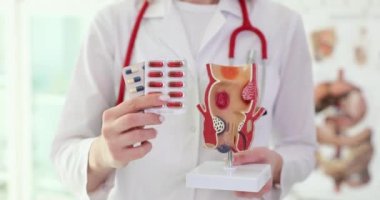 Doktor proktoloğun elinde haplar ve insan rektumunun yapay görüntüsü var. Rektum tanısı ve tedavi hastalıkları