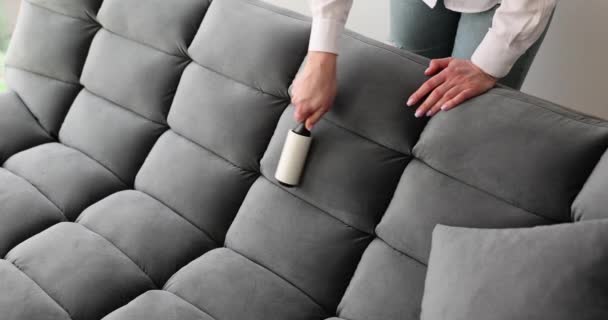 女性は粘着ローラーでグレーのベロールソファをきれいにします 家具の手入れ — ストック動画