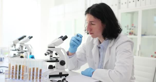 Studentische Wissenschaftlerin Mikroskop Die Qualität Von Saatgut Überprüfen Gentechnisch Veränderter — Stockvideo
